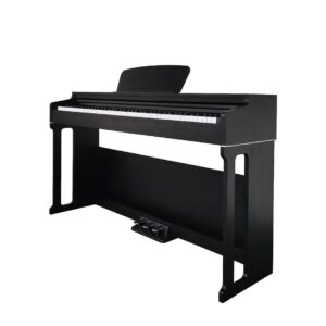 Ara Digital Keyboard Piano Portable 88 Keys with Hammer Action And Touch Response - HAM92BL