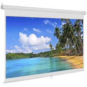 Conqueror Manual Projection Screen 136" - HPSC13