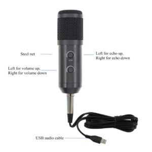 Conqueror Cardioid Condenser Microphone USB table stand Arm Holder Pop Filter Mic For Computer Karaoke PC - BM900