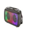 Portable Bluetooth Double Woofer Speaker 4 inch with Wireless Mic – GY1024