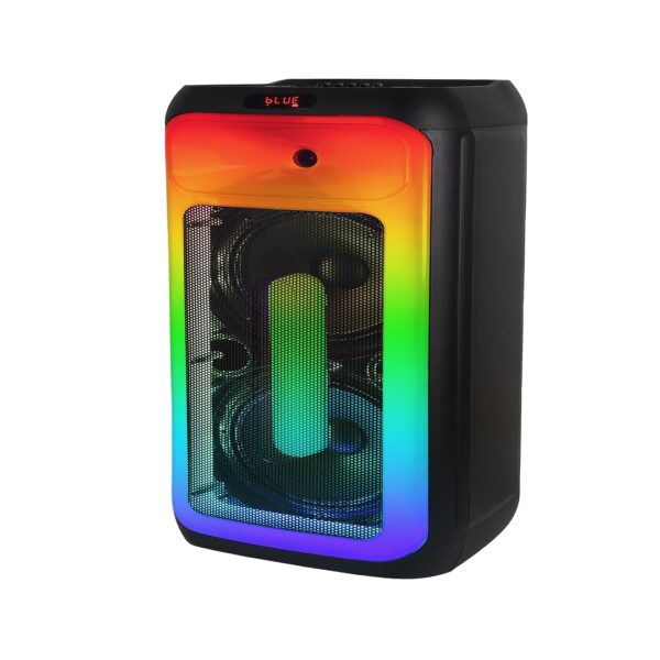 Portable Bluetooth Double Woofer Speaker 10 inch with Wireless Mic – DR1028