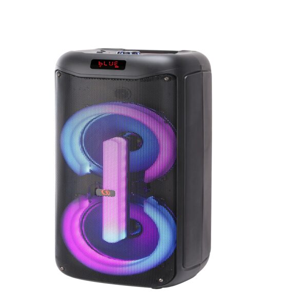 Portable Bluetooth Double Woofer Speaker 8 inch with Wireless Mic – GY5049