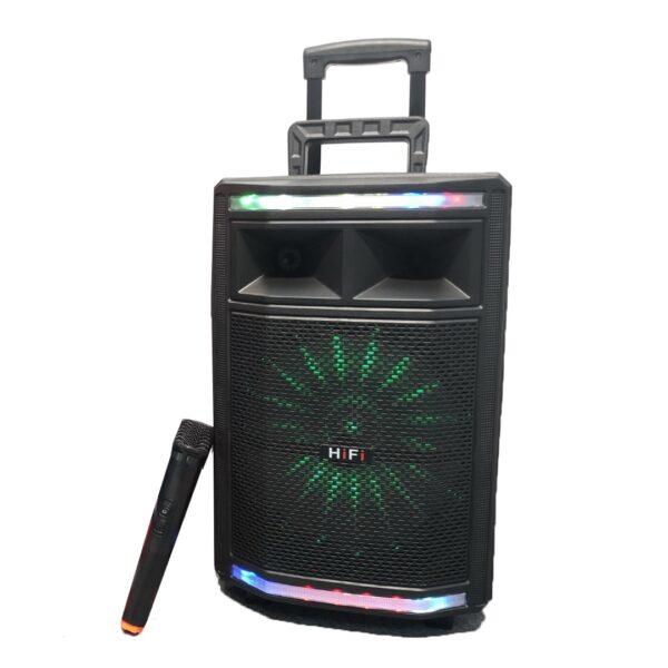 TWS Portable Speaker Karaoke Bluetooth 12 inch with Wireless Mic - SZ1219